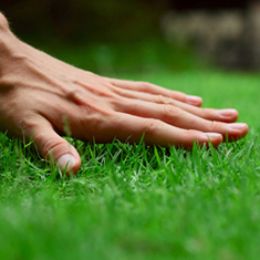 Eco-Friendly Lawn Care