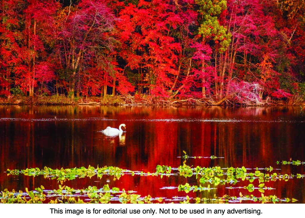 Leaf Peeping Planning Guide