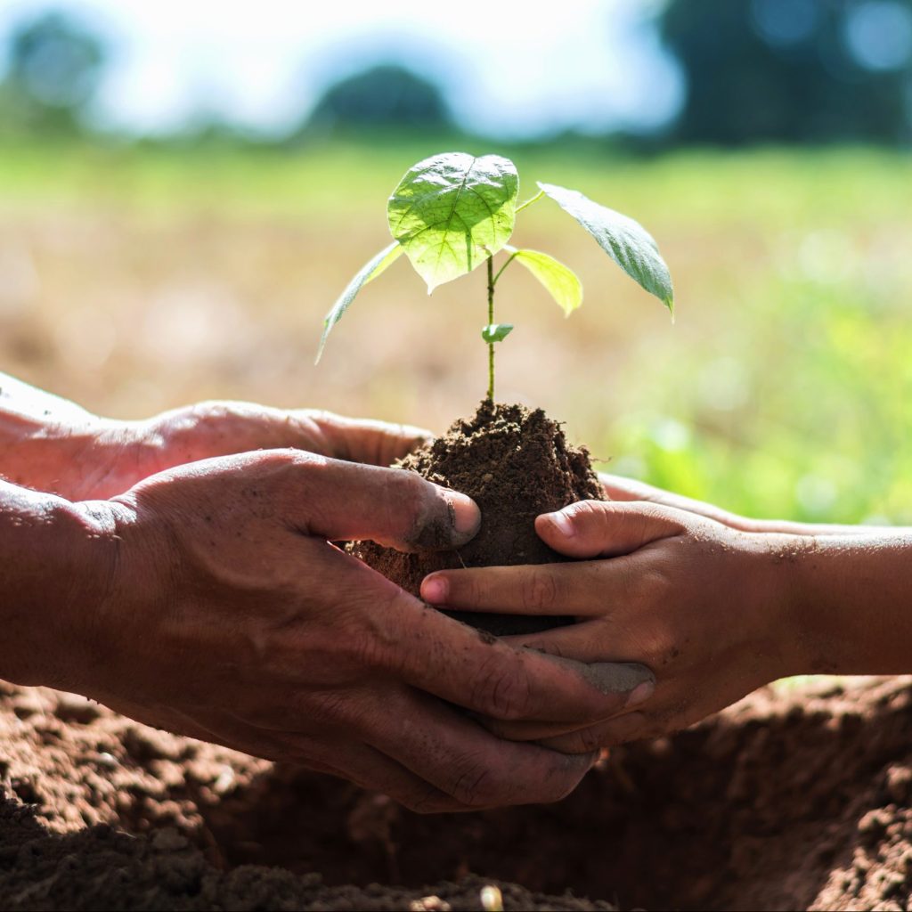 Fun and educational ways to celebrate Earth Day