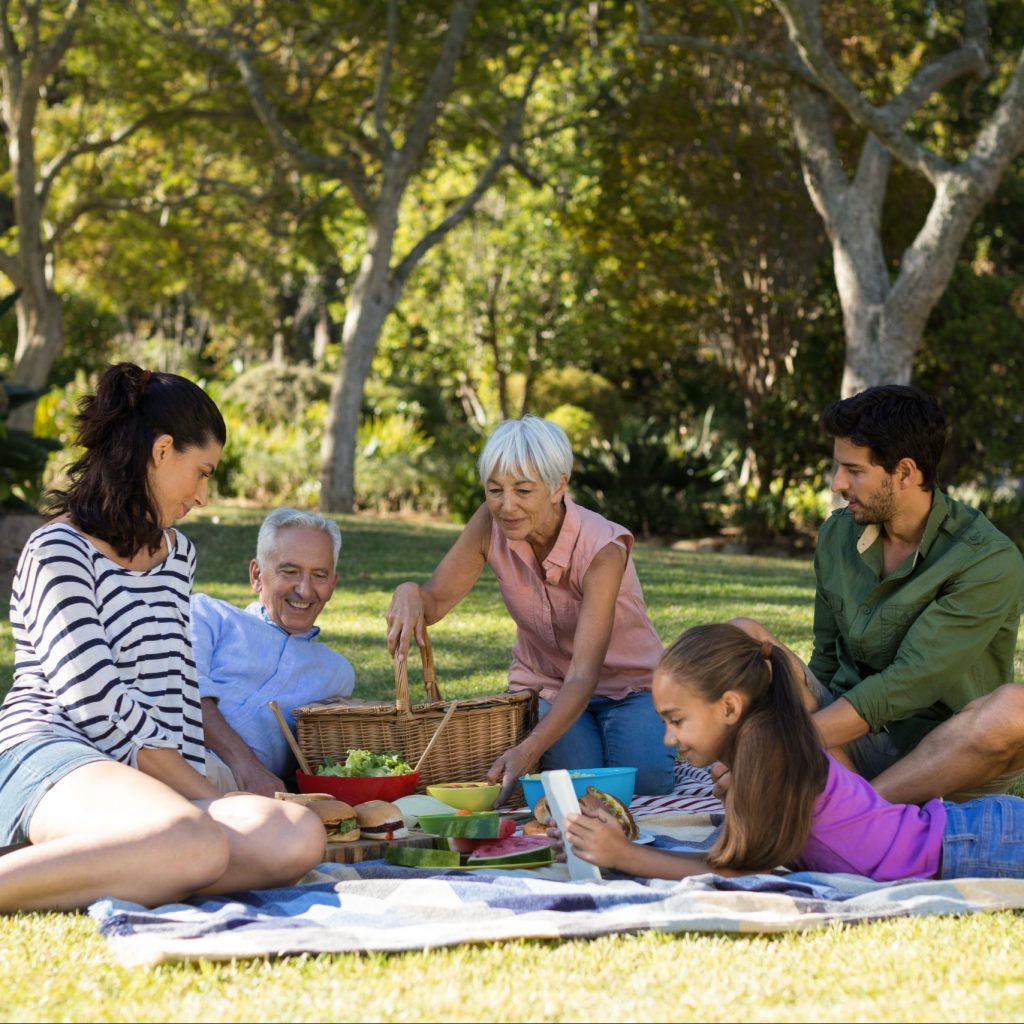 Key Components Of A Fun Picnic