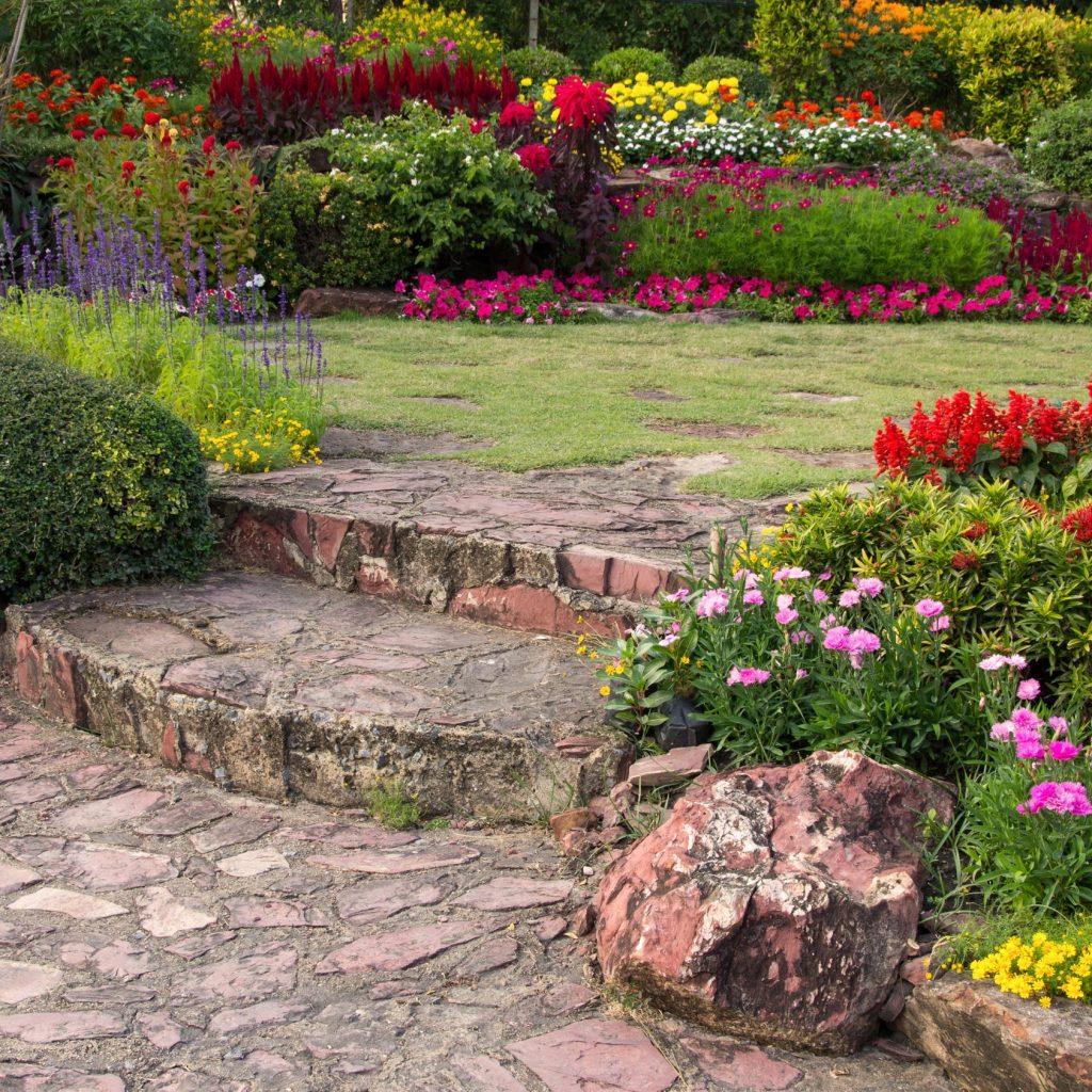 revitalize your landscape on a budget